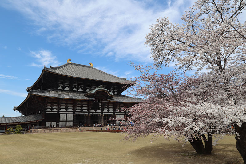 todaiji nara temple