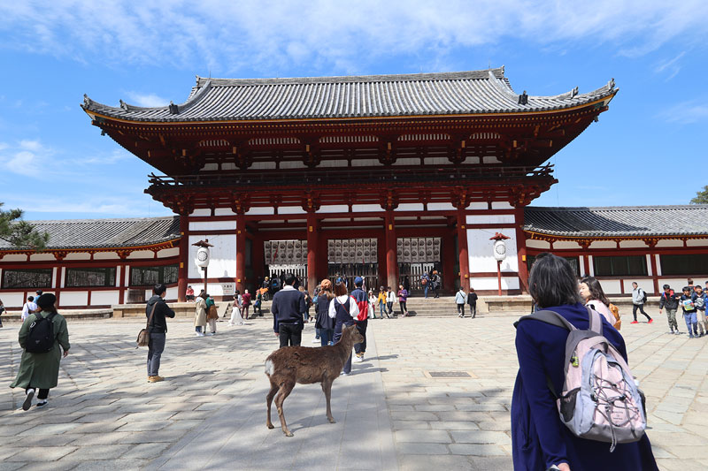 nara deer park