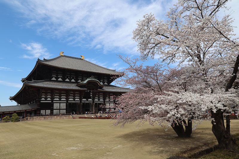 todaiji temple nara