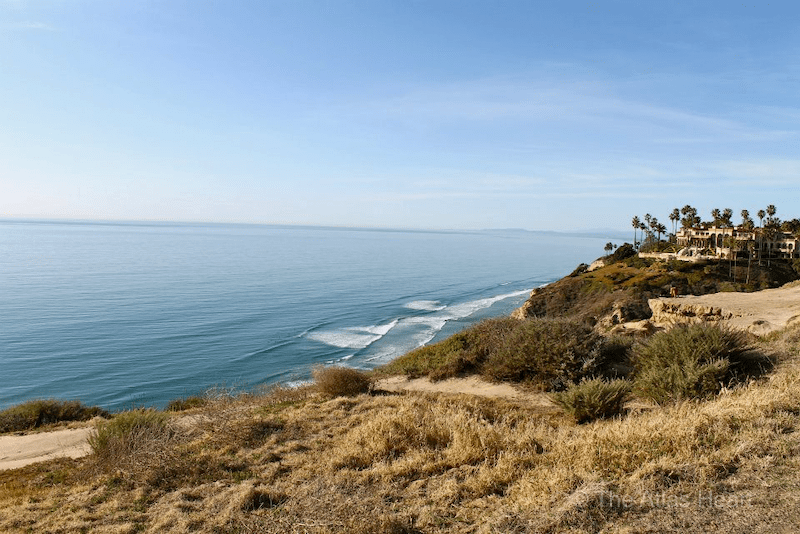 San Diego viewpoint - take them in through the San Diego scenic drive