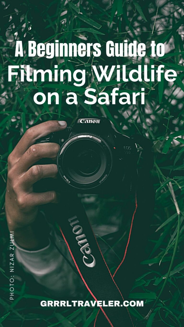 Filming Wildlife on a Safari &What to Bring