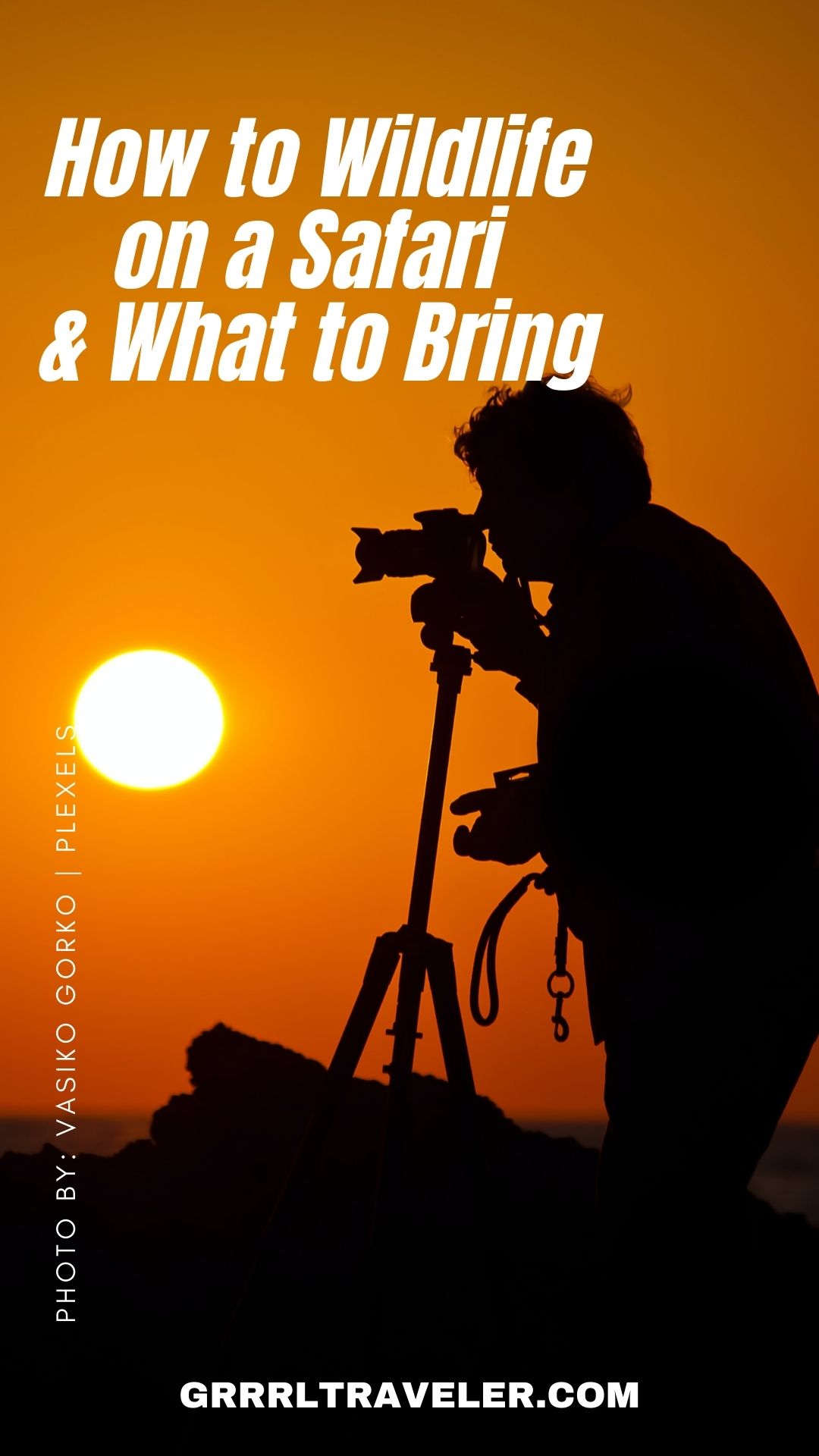 Beginner's Guide to Filming Wildlife on a Safari & What to Bring ...