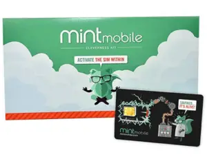 mint mobile plan for us travelers