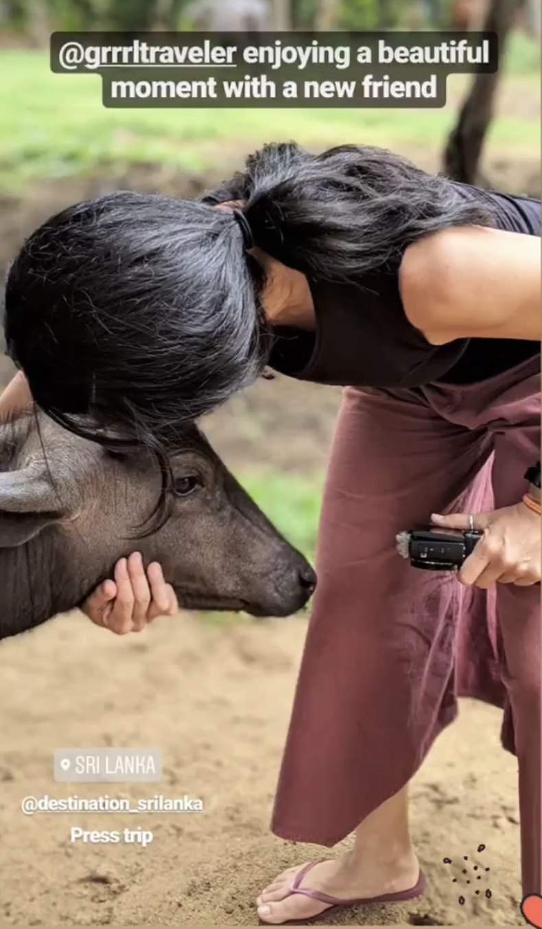 grrrltraveler charity