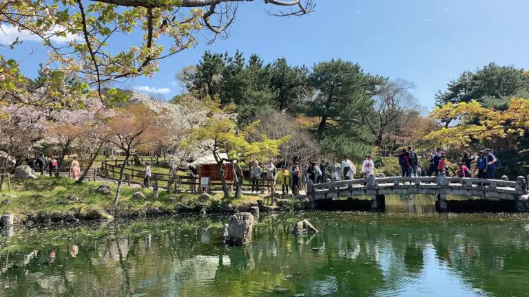 maruyama park kyoto