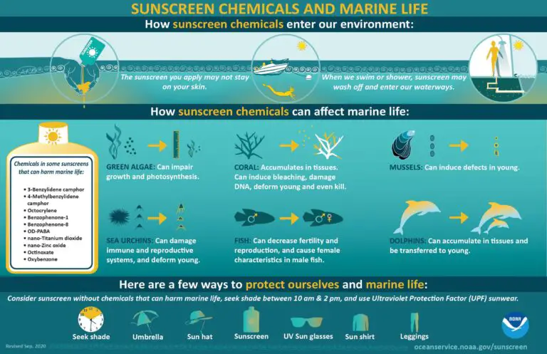 How sunscreen affects coral reefs by NOAA