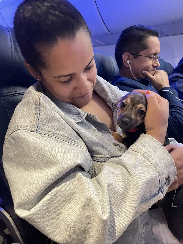 My flight neighbor had no problem helping me. flying with rescue dogs on delta 
