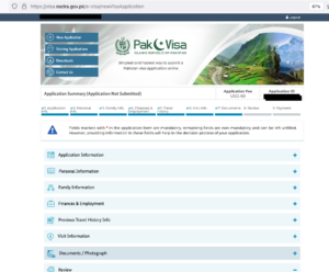What information does the Pakistan visa application ask for
