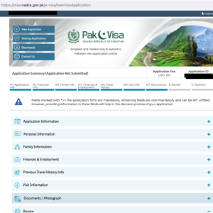 What information does the Pakistan visa application ask for