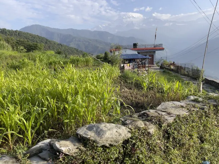 hemjakot homestay farm nepal village life