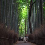 arashiyama kyoto