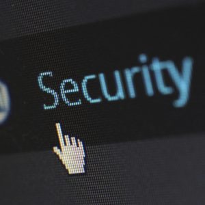 Phone Searches Digital Privacy tips When Traveling to the U.S.