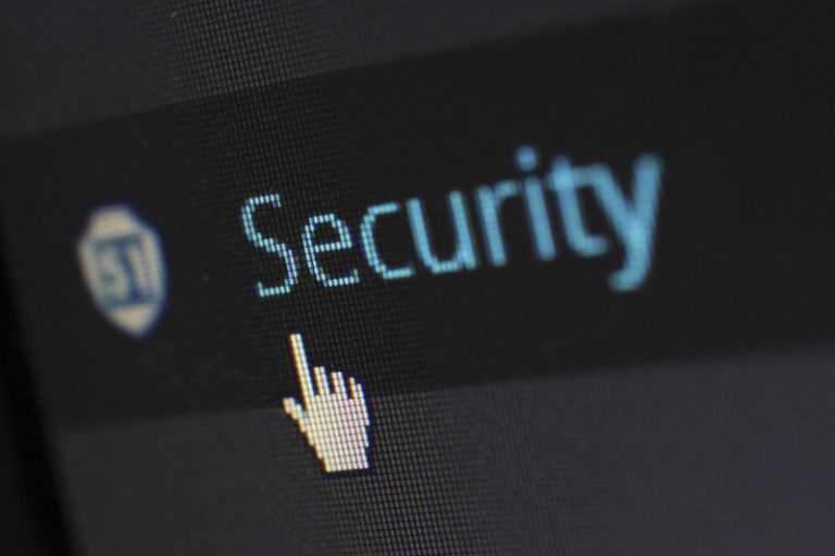 Phone Searches Digital Privacy tips When Traveling to the U.S.