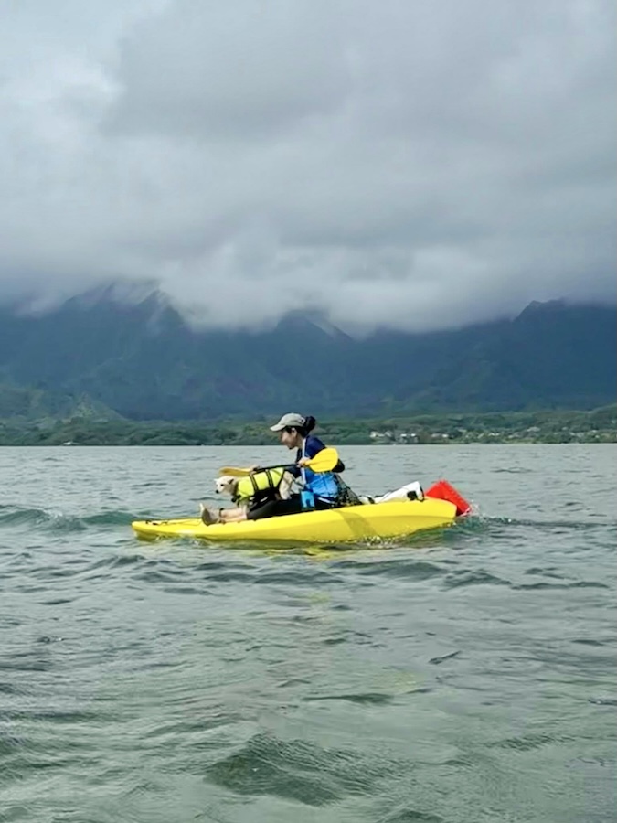 Dog on kayak hawaii kualoa