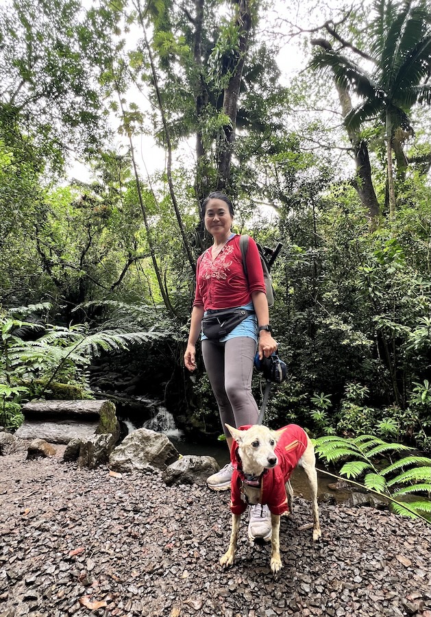 dog hiking hawaii manoa vallley