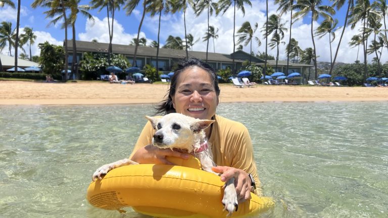 dog on floatie Hawaii beach vacation