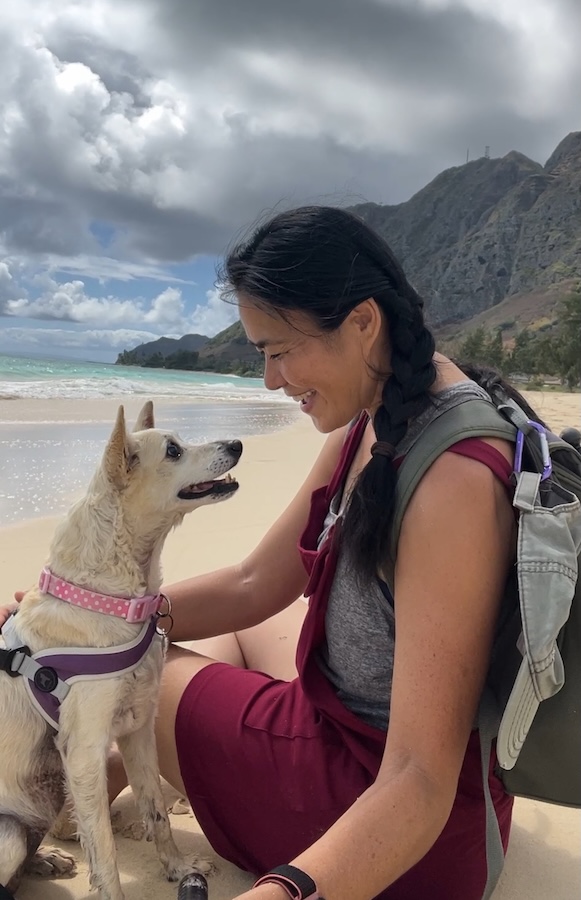 dog waimanalo beach