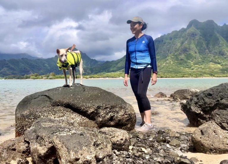 dog watersport kayak hawaii
