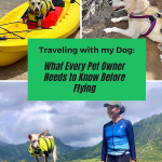 Traveling with your dog: What Every Pet Owner Needs to Know Before Flying