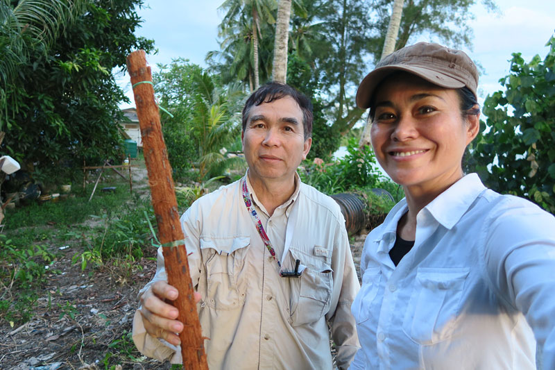 Borneo Wetlands tour, what to do in kuching, kuching sarawak, borneo jungle trek